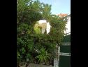 Holiday home Villa Linda - big terraces: H(5+2) Seget Vranjica - Riviera Trogir  - Croatia - courtyard