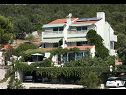 Apartments Tonka - 10 m from beach A1(2), A2(2+2), A3(3), A4(2), A5(2+2), A6(3) Vinisce - Riviera Trogir  - house