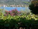 Apartments Fran - 30 m from sea : A1-veliki(5), A2-mali(3) Vinisce - Riviera Trogir  - house