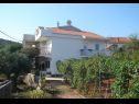 Apartments Slaven - 50 m from beach: A1(4+2), A2(2+1), A3(4+1) Vinisce - Riviera Trogir  - house