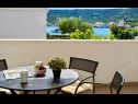 Holiday home Pazanin - 20m from the beach: H(4+1) Vinisce - Riviera Trogir  - Croatia - house