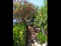 Apartments Josip - 5 m from beach: A1(6) Vinisce - Riviera Trogir  - garden
