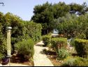 Apartments Brane - charming and close to the sea SA1(2) Sutomiscica - Island Ugljan  - garden (house and surroundings)
