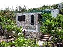 Holiday home Paulo1 - peacefull and charming H(2+1) Cove Rogacic (Vis) - Island Vis  - Croatia - house