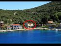 Apartments Roki - 10 m from beach: A1(6+2) Veliki, A2(2+2) Mali Cove Rogacic (Vis) - Island Vis  - Croatia - vegetation (house and surroundings)