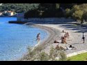 Holiday home Paulo1 - peacefull and charming H(2+1) Cove Rogacic (Vis) - Island Vis  - Croatia - beach