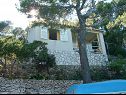 Holiday home Dob - 5m from the sea: H(4) Cove Stoncica (Vis) - Island Vis  - Croatia - house