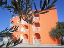 Apartments Sor - on the beach: SA1(2+1), A1(4+1), A2(2+3), A3(2+3) Bibinje - Zadar riviera  - house