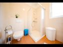 Holiday home Ante - 30 m from beach: H(6+2) Ist (Island Ist) - Zadar riviera  - Croatia - H(6+2): bathroom with toilet