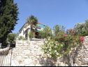 Apartments Vlatkica - 10 m from beach: A1 Vlatkica(4), A2 Lea(4) Maslenica - Zadar riviera  - house