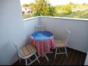 Apartments Dali - 300 m from the beach: SA1 1D (3), A2 1L (5), A3 2k (6) Nin - Zadar riviera  - Studio apartment - SA1 1D (3): balcony