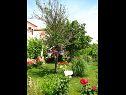 Apartments Nika - nice garden: A1(2), A2(4+1), A3(6), A4(2) Nin - Zadar riviera  - garden (house and surroundings)