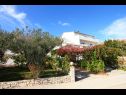 Apartments Nika - nice garden: A1(2), A2(4+1), A3(6), A4(2) Nin - Zadar riviera  - house