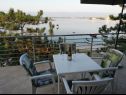 Apartments Ljilja - 10m from the sea with parking: A2(2+2), A3(2+2), A4(12) Nin - Zadar riviera  - Apartment - A2(2+2): terrace view