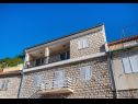 Apartments Luci - 40 m from sea: A1(4) Novigrad - Zadar riviera  - house