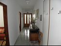 Apartments Pupa - nice family apartments: A1 Dora(4+1), A2 Mihael(4+1), A3 Tea(2+1) Petrcane - Zadar riviera  - Apartment - A3 Tea(2+1): hallway
