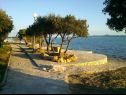 Apartments Mis - apartments close to sea: A1(4), A2(4) Petrcane - Zadar riviera  - beach