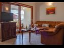 Apartments Kike - 60 meters from the beach A1(4+1), A2(4+1), A3(4+1), SA1(2) Petrcane - Zadar riviera  - Apartment - A2(4+1): living room