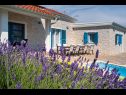 Holiday home Ani 1 - with pool : H(6) Privlaka - Zadar riviera  - Croatia - house