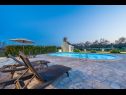 Holiday home Oasis Village Villa - heated pool : H(6+2) Privlaka - Zadar riviera  - Croatia - swimming pool