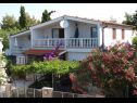 Apartments Dobri - 500 m from beach: A5(2+1), A4(2+2), A3(2+2), A2(2+2) Sabunike - Zadar riviera  - house