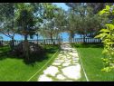 Apartments Ivan Z - 10 m from sea: A3(2), A4(2) Seline - Zadar riviera  - garden