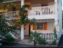 Apartments Ivan - 200 m from the beach A1 (2+2), A2 (2+2), A3 (2+2), A4 (2+2) Seline - Zadar riviera  - house