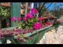 Holiday home Role - retro & affordable: H(2+1) Starigrad-Paklenica - Zadar riviera  - Croatia - flowers