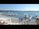 Apartments Martina - 300 m from sea: A1(2+2), A2(2+2) Sukosan - Zadar riviera  - beach