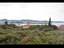 Apartments Martina - 300 m from sea: A1(2+2), A2(2+2) Sukosan - Zadar riviera  - vegetation (house and surroundings)