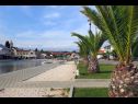 Apartments Let - 5 m from sea : A1(4), A4(4) Sukosan - Zadar riviera  - detail