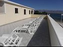 Apartments Stjepan- 10 m from beach A1 prizemlje desno(2+2), A2 prizemlje lijevo(2+2), A3 1.kat lijevo(2+2) Vir - Zadar riviera  - common terrace (house and surroundings)