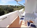 Apartments VINK - 80 m from beach A2(4), A3(4), A4(4) Vir - Zadar riviera  - Apartment - A2(4): covered terrace