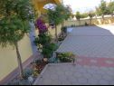 Apartments Vanja - terrace & BBQ A1(4+2), A2(4+1) Vir - Zadar riviera  - courtyard