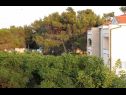 Apartments VINK - 80 m from beach A2(4), A3(4), A4(4) Vir - Zadar riviera  - Apartment - A4(4): view (house and surroundings)