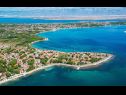 Apartments Sanja - 100 meters to the beach A1(4+1), A2(4+1), A3(4+1), A4(4+1) Vir - Zadar riviera  - detail
