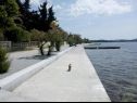 Apartments Franka - 70 m from sea: A1(6) Zadar - Zadar riviera  - detail