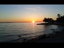 Holiday home Villa Petar 2 - 10m from sea: H(4) Zadar - Zadar riviera  - Croatia - beach