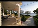 Holiday home Villa Petar 1 - 10m from sea: H(4) Zadar - Zadar riviera  - Croatia - house