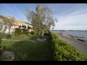 Holiday home Villa Petar 1 - 10m from sea: H(4) Zadar - Zadar riviera  - Croatia - garden