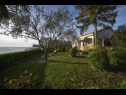 Holiday home Villa Petar 1 - 10m from sea: H(4) Zadar - Zadar riviera  - Croatia - garden