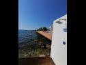 Apartments Petin - 5m from the sea: A1(2+2), A2(2+2) Zadar - Zadar riviera  - beach