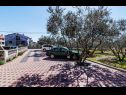 Apartments Brane - free parking: A1 Barbara(4), A2 Aleksandar(2+1), A3 Frane(4+2), A4 Rada(6+1), A5 Martina(2+2), SA6 Josip(2) Zadar - Zadar riviera  - parking
