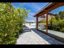 Holiday home Luxury Villa with pool H(10) Zaton (Zadar) - Zadar riviera  - Croatia - greenery