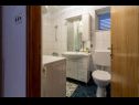 Apartments Mir - family apartments with garden terrace A1(4), A2(2) Zaton (Zadar) - Zadar riviera  - Apartment - A1(4): bathroom with toilet