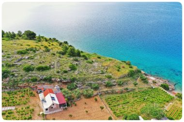 Holiday home Smokovlje - sea view and vineyard H(4) Bol - Island Brac  - Croatia