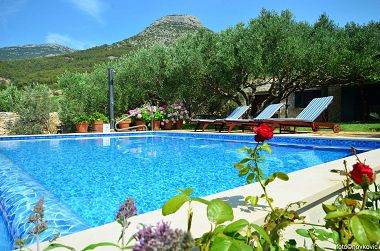 Holiday home Vojo - private swimming pool: H(4) Bol - Island Brac  - Croatia