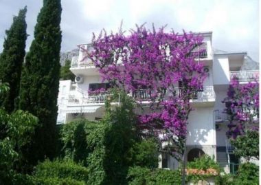 Apartments Josip II - 150 m from beach with free parking: SA4(2+1), SA5(3), A6(4) Baska Voda - Riviera Makarska 