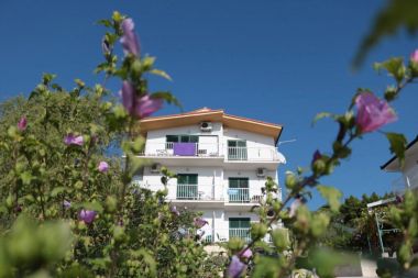 Apartments Gloria - 5 min to the beach : SA1(3+1), SA2(3), SA3(3), SA4(4), SA5(3), SA6(3), SA7(2), A8(6+4) Gradac - Riviera Makarska 