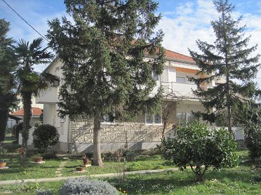 Apartments Ivan - with large terrace : A1(5) Zadar - Zadar riviera 